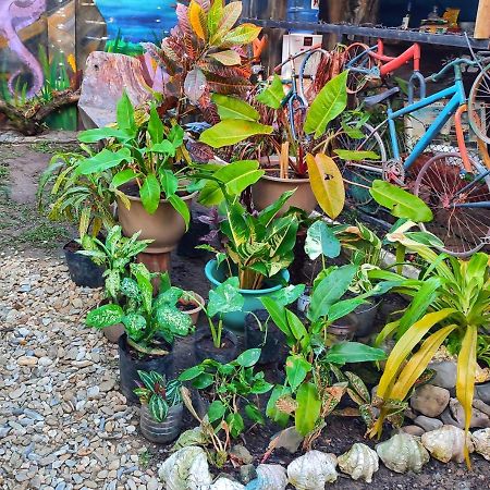 Castaway Native Huts Apartment San Vicente  Exterior foto